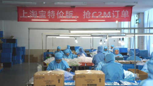 淘宝特价版上线外贸频道，2000家大牌外贸工厂入驻，电器辅件销售迎来新机遇